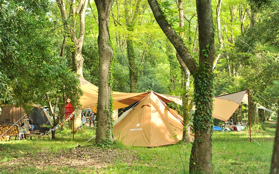 フリーサイトキャンプに張られたテントの写真