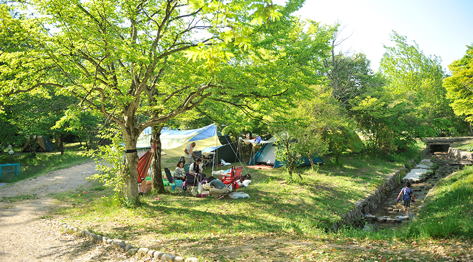 キッズスポット キャンプサイトと小川の引きの写真