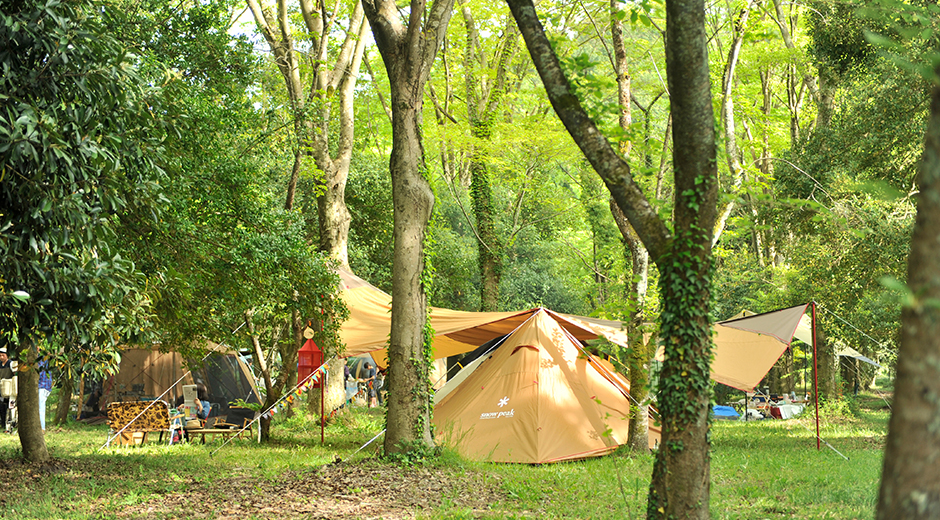 フリーサイトキャンプに張られたテントの写真