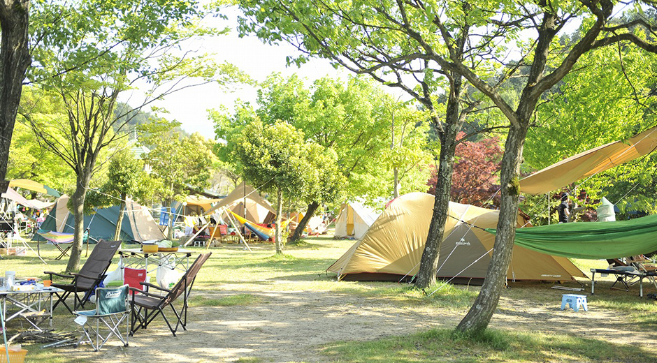 フリーサイトキャンプのテント